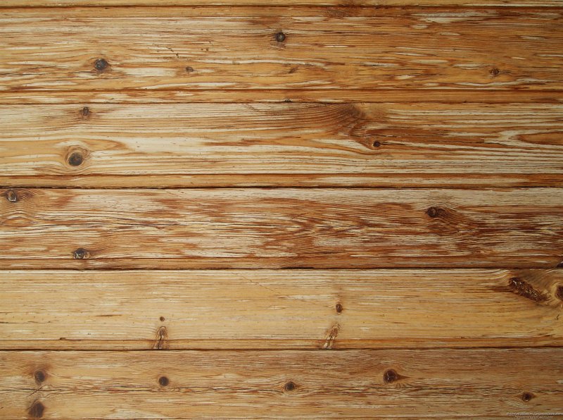 Светлое дерево