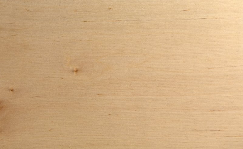 Липа фактура древесины