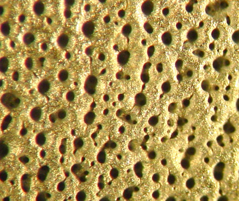 Пористая поверхность