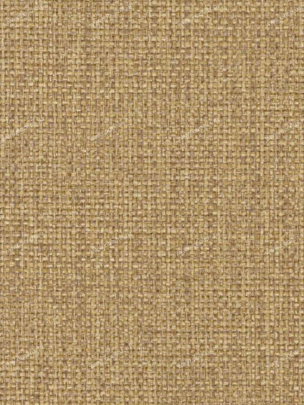 Wiganford Fantazia 206503