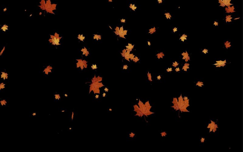 Падающие осенние листья