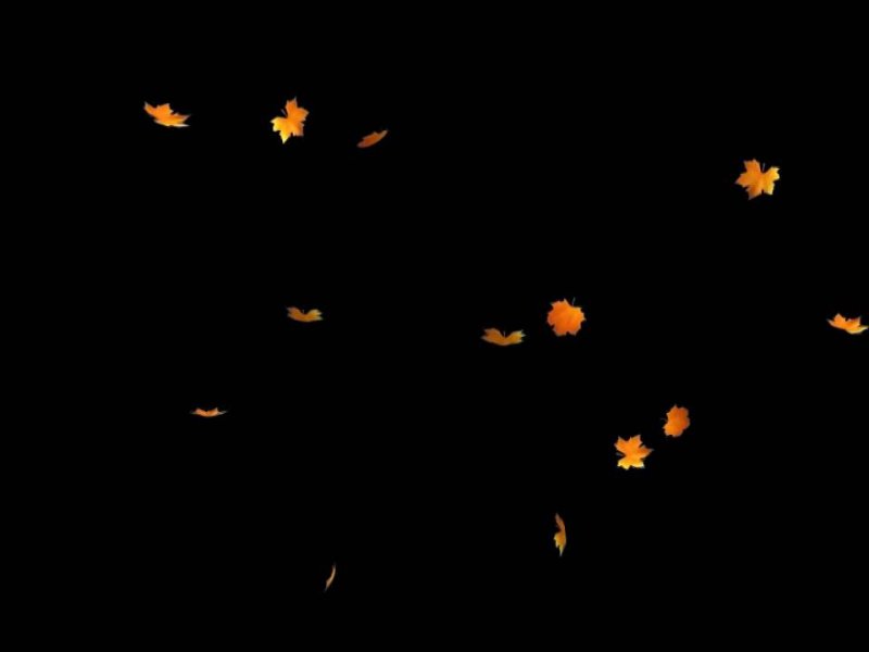 Осенние листья на черном фоне