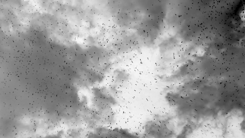 Пепел в воздухе