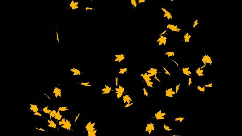 Падающие листья