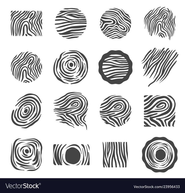 Фактура дерева вектор