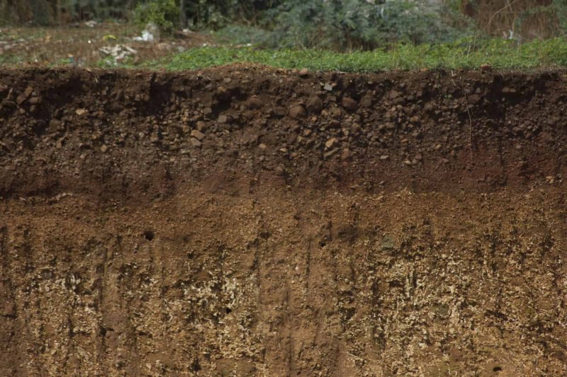 Почва в разрезе