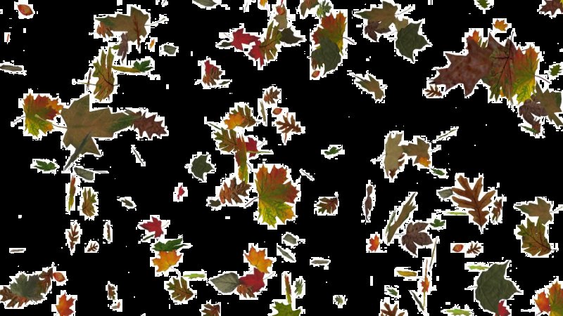 Падающие листья на прозрачном фоне
