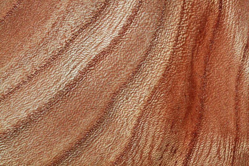 Ткани древесины