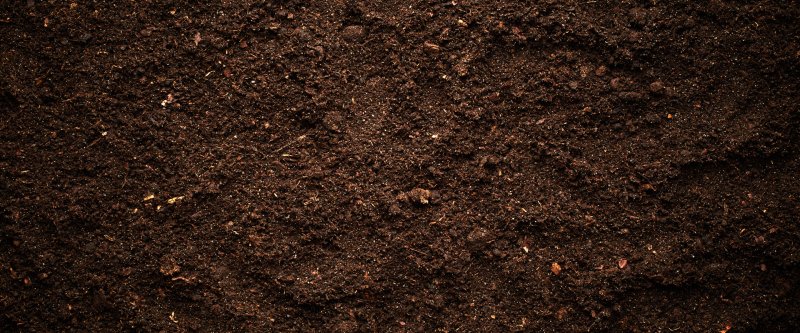 Текстура земли