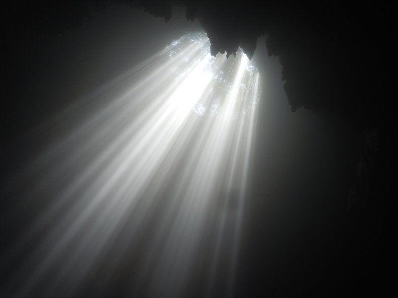 В Луче света