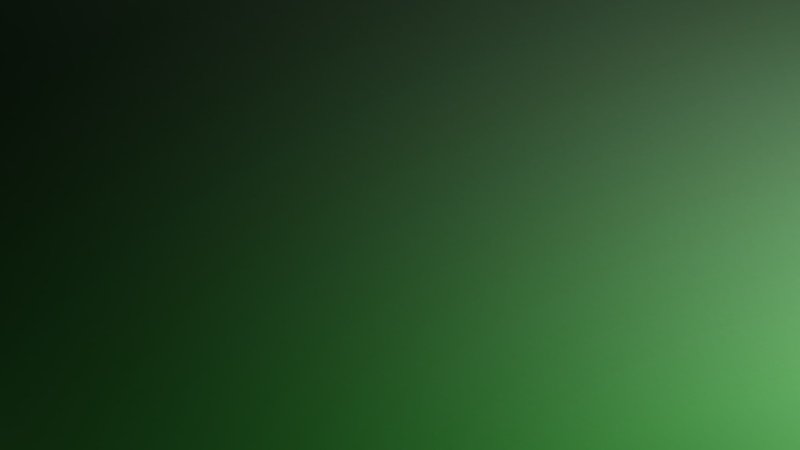 Темно зеленый цвет