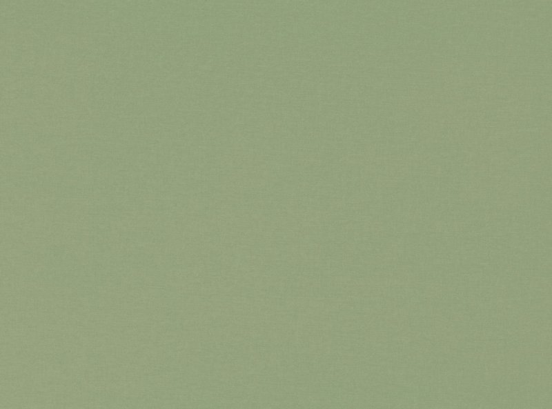Оливковый цвет текстура