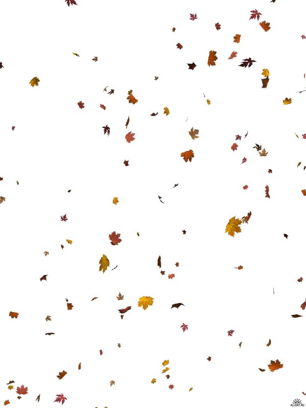 Падающие листья на прозрачном фоне