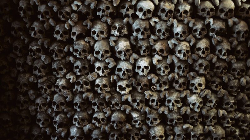Стена из черепов