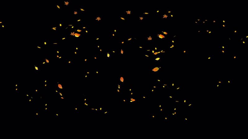 Падающие листья на черном фоне