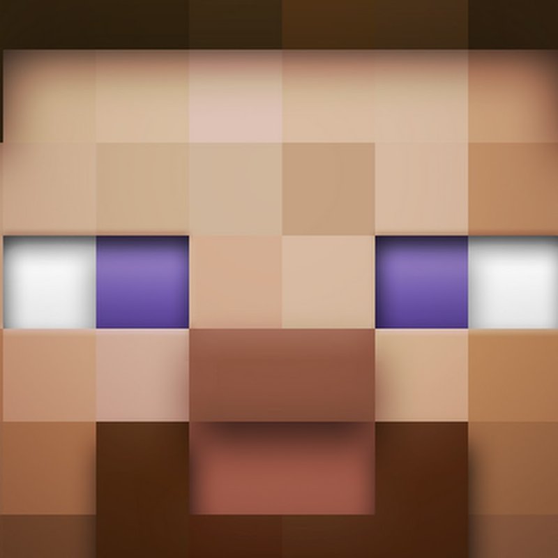 Голова Стива