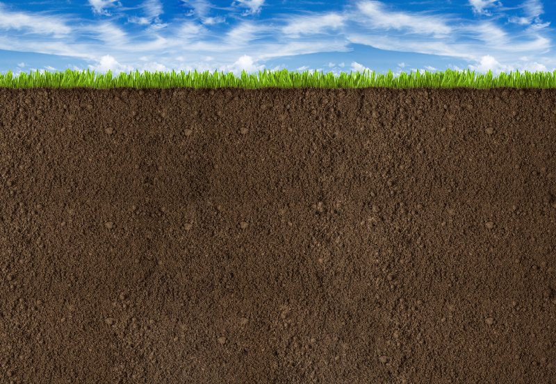 Текстура земли