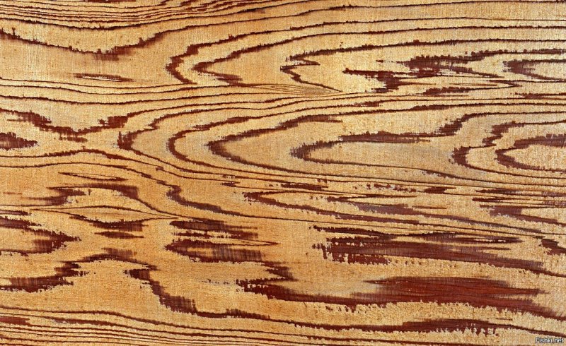 Имитация дерева