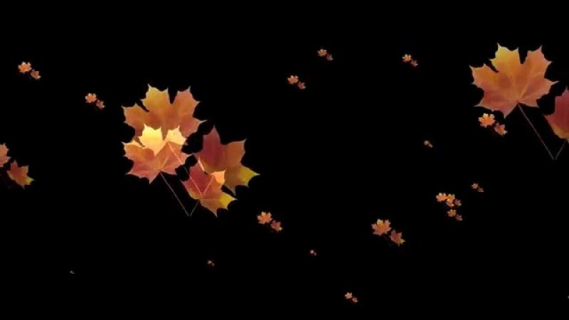 Падающие листья на черном фоне