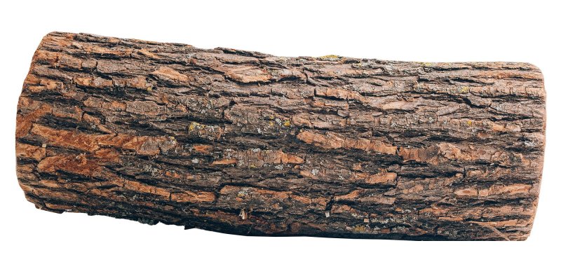 Деревянное полено