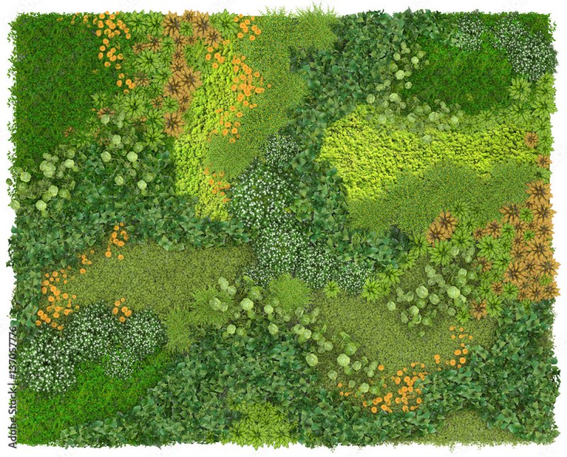 Клумба вид сверху