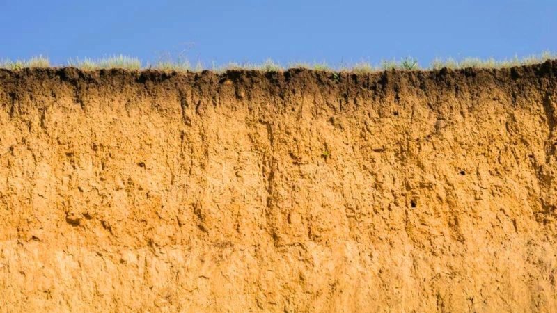 Срез грунта