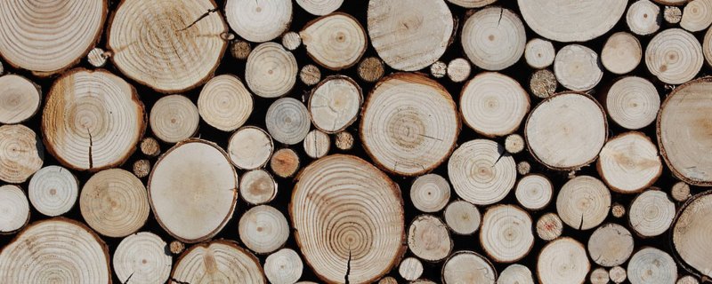 Текстура сруба дерева