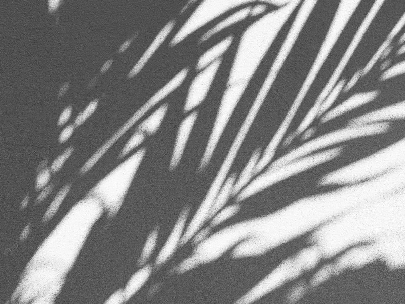 Текстура тени от листвы