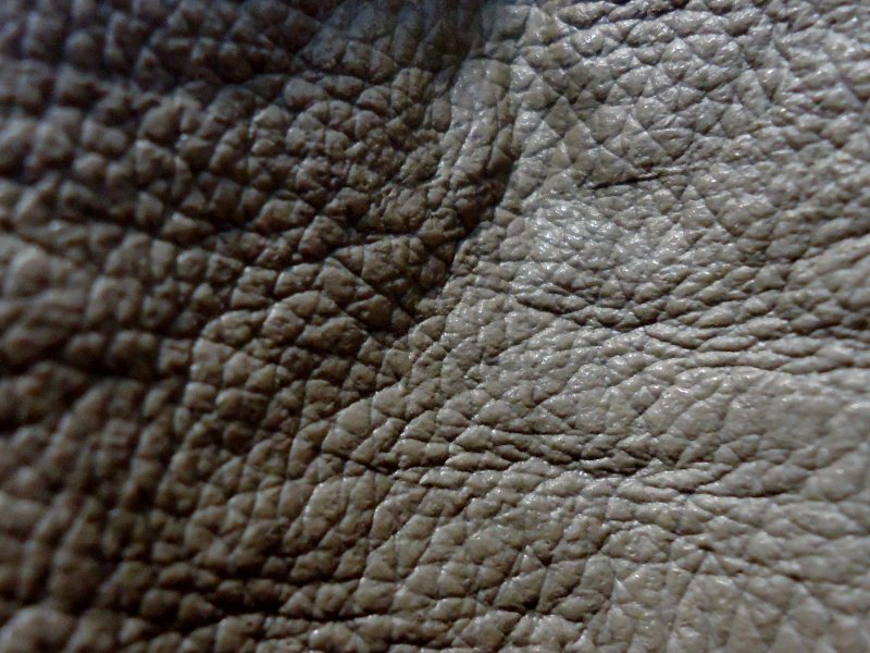 Кожа динозавра