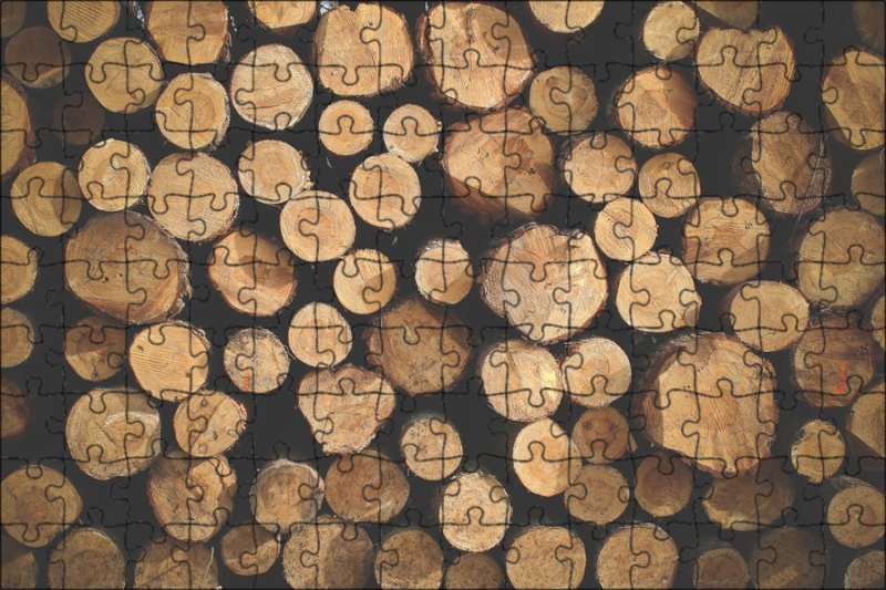 Текстура сруба дерева