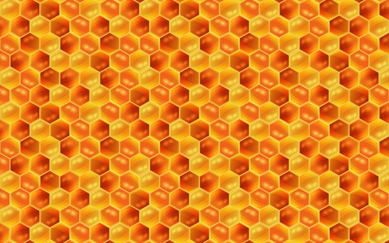 Медовые соты