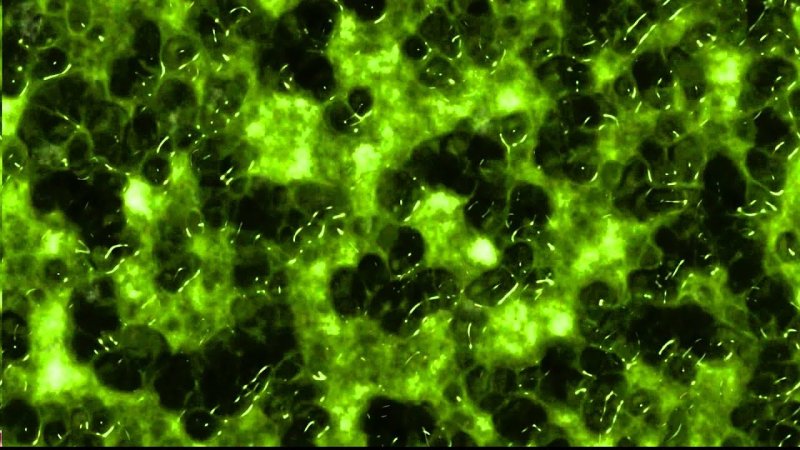 Текстура слизи