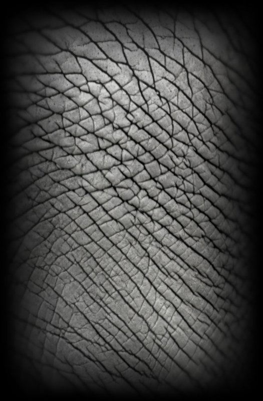 Альфа кожи для Zbrush