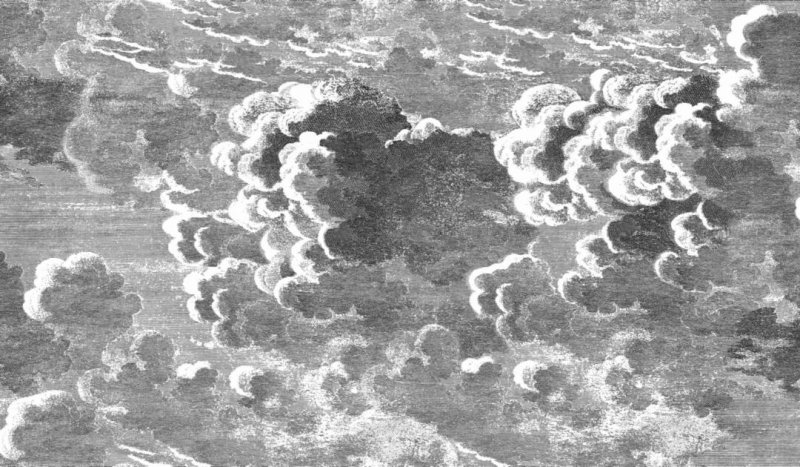 Обои Cole&son Fornasetti senza tempo