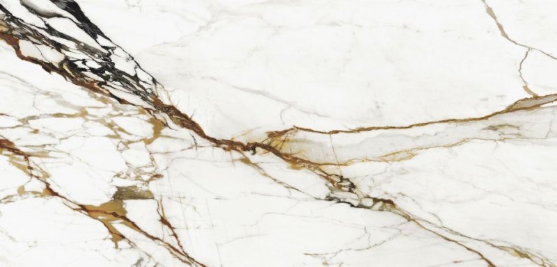 Xlight 120x250 Paonazzo biondo Pulido (6 мм)