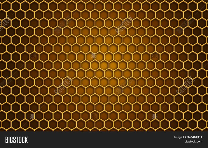 Соты пчелиные