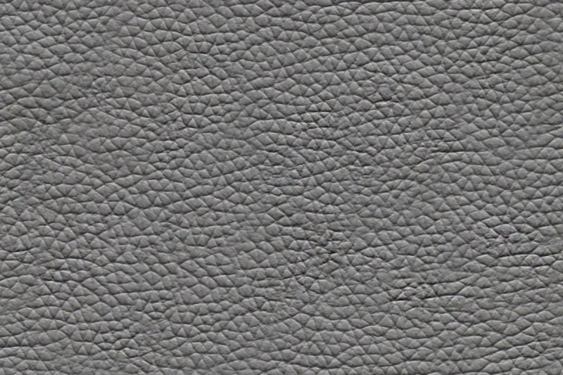 Текстура кожи