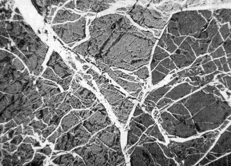 Прожилковая структура руд