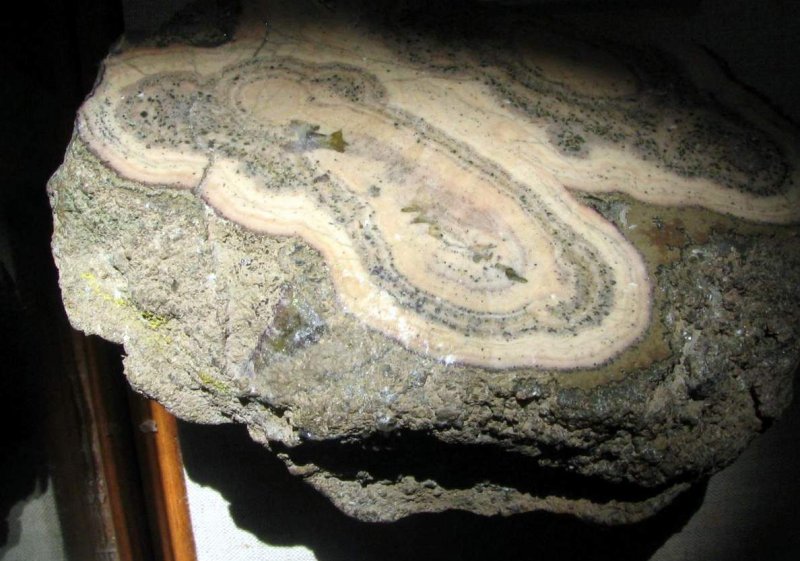 Колломорфная структура горных пород