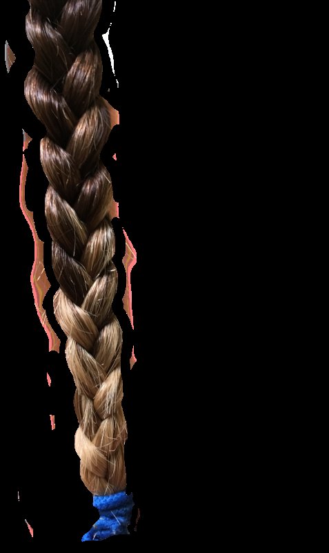 Кочичи на прозрачном фоне