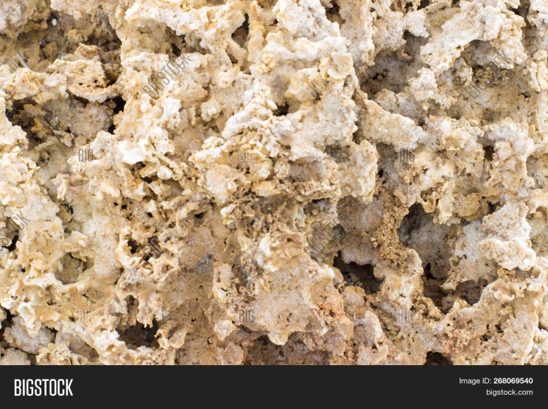 Известняк ракушняковый