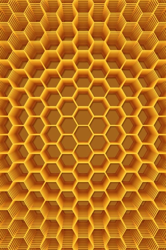 Соты пчелиные