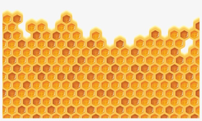 Соты пчелиные вектор