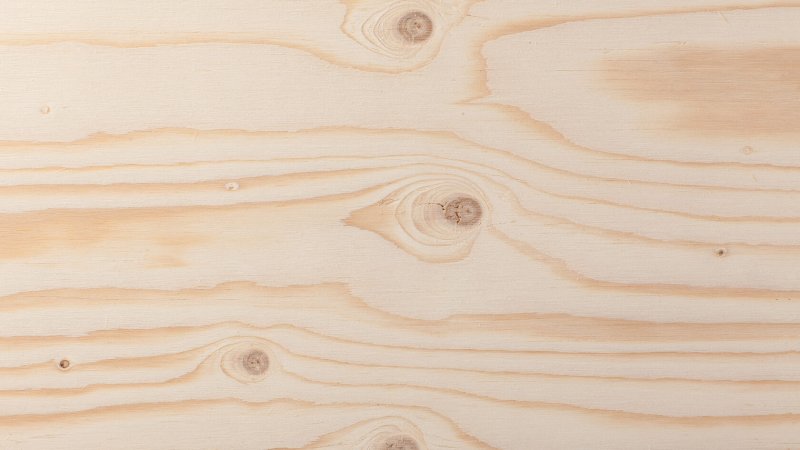 Смоляные ходы у хвойных