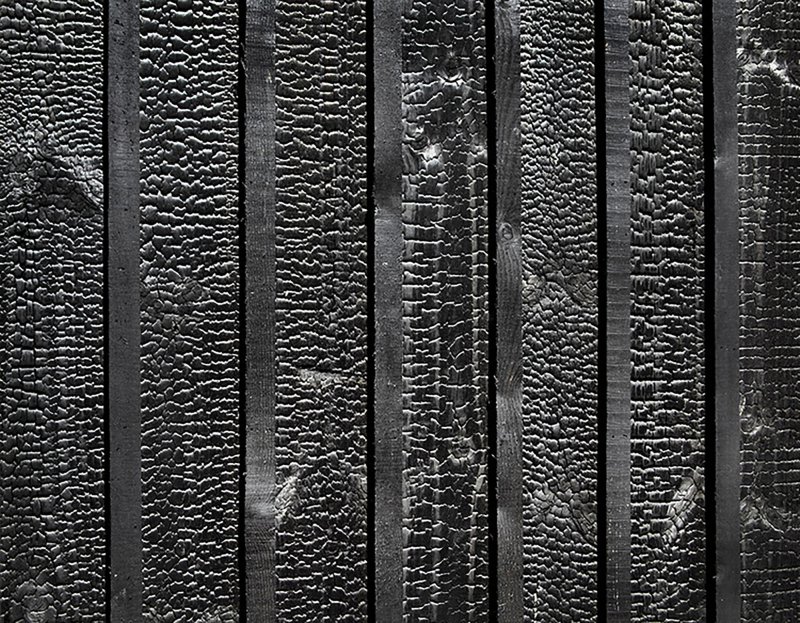 Обугленное дерево