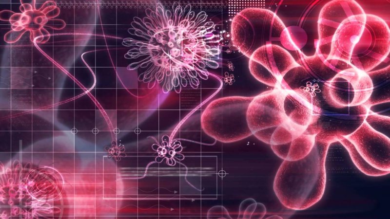 Биология фон