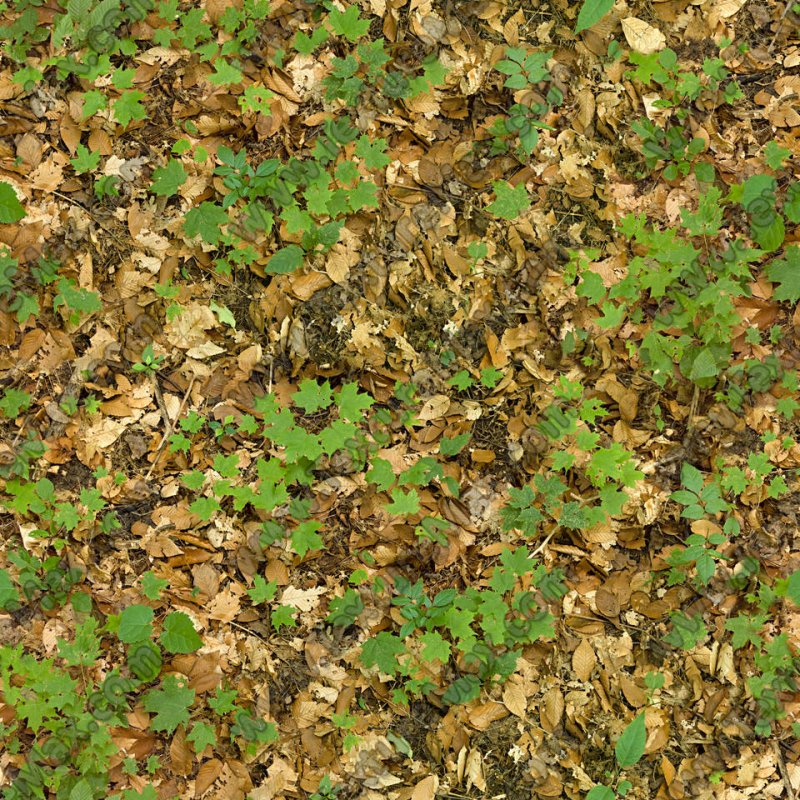 Текстура земли