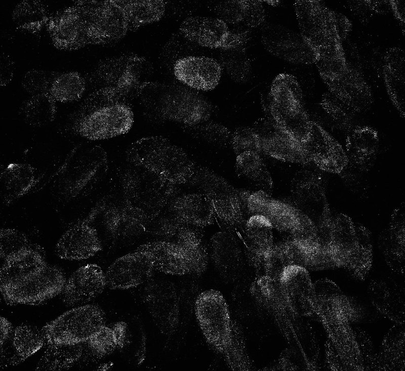 Карта отпечатков пальцев 3д Макс