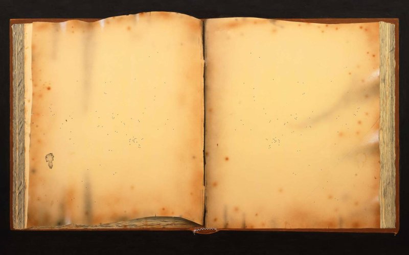 Пустая страница старой книги