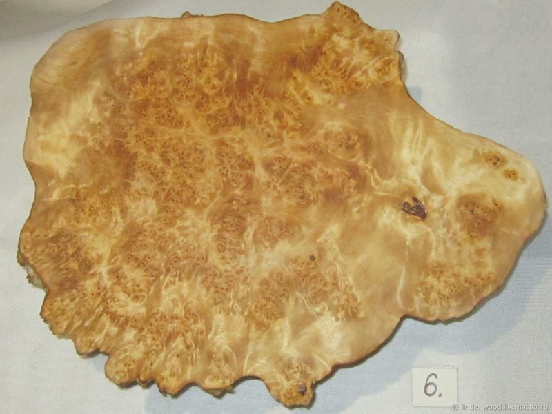 Древесина берёзового Капа